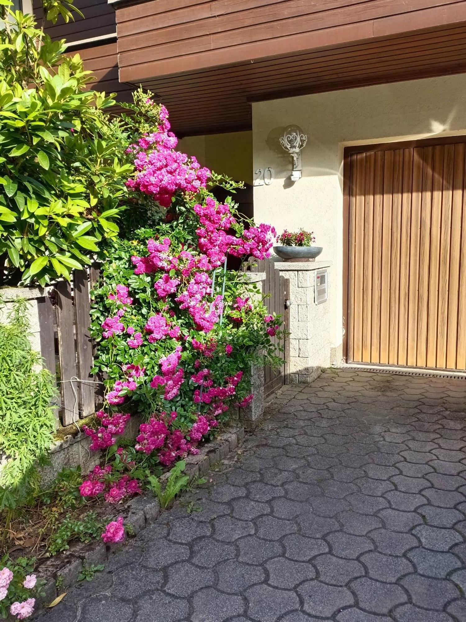 Haus Flora - Ferienwohnung 博登斯多夫 外观 照片