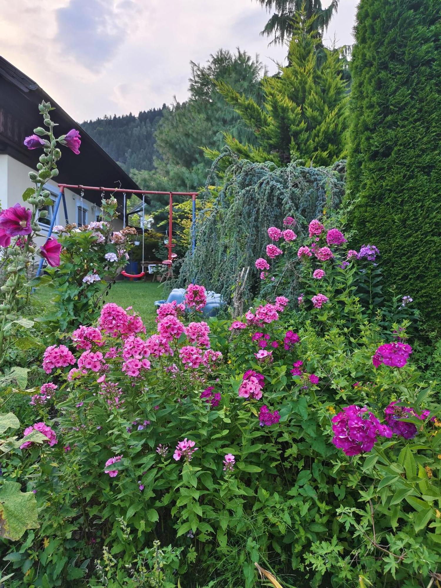 Haus Flora - Ferienwohnung 博登斯多夫 外观 照片